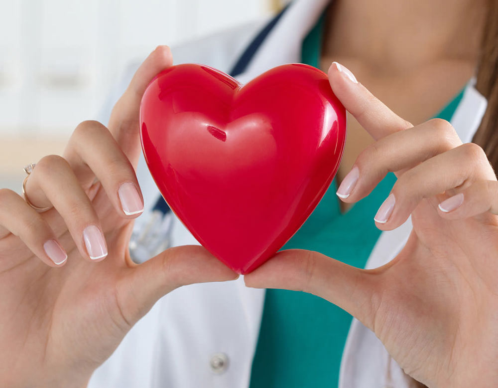 Person Holding Plastic Heart 1 Person Holding Plastic Heart 1